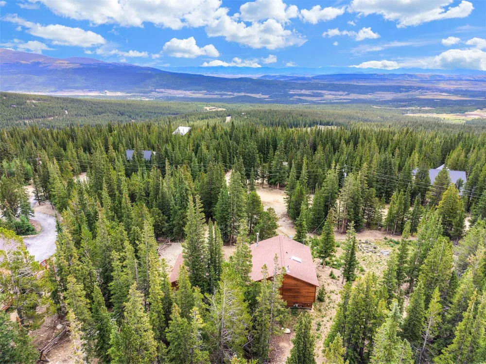369 Prunes Place Fairplay, CO 80440