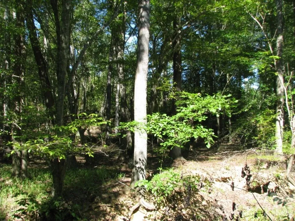 25 Ac Brandon Road Clover, SC 29710