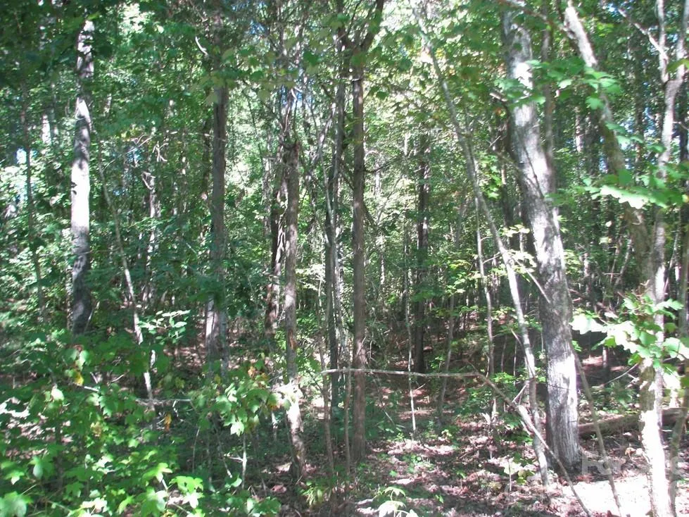 25 Ac Brandon Road Clover, SC 29710