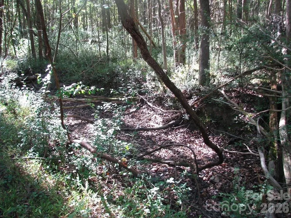 25 Ac Brandon Road Clover, SC 29710