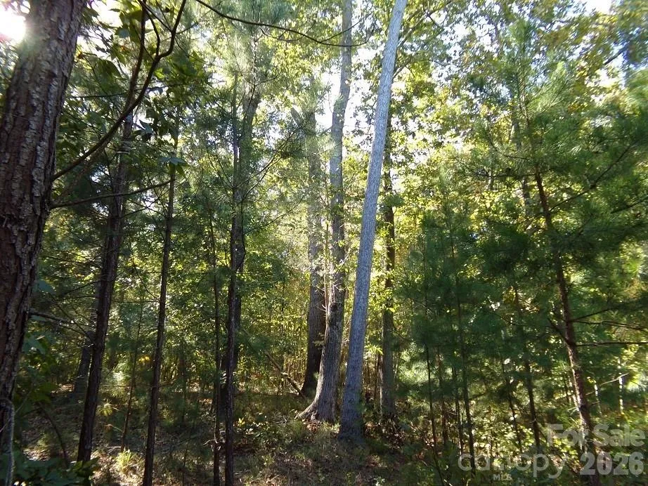 25 Ac Brandon Road Clover, SC 29710