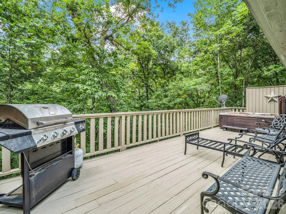 209 Dogwood Drive Lake Lure, NC 28746
