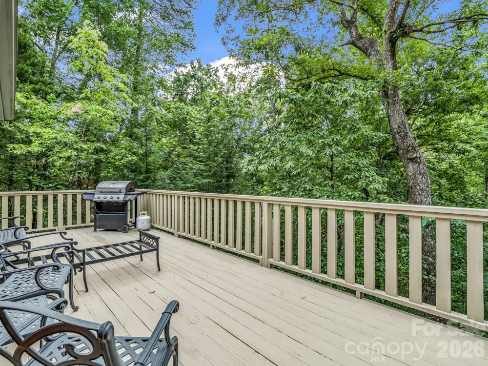 209 Dogwood Drive Lake Lure, NC 28746