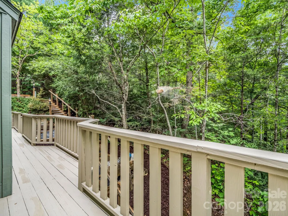 209 Dogwood Drive Lake Lure, NC 28746