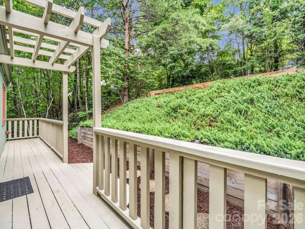 209 Dogwood Drive Lake Lure, NC 28746