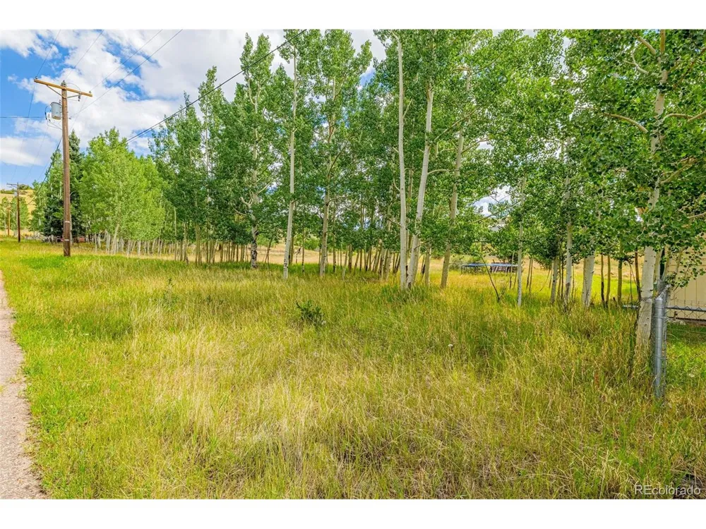 405 E Galena Avenue Cripple Creek, CO 80813