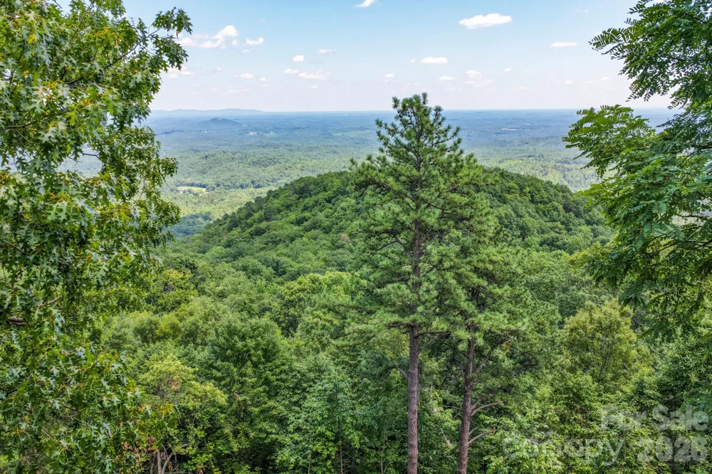 155 Hickory Nut Lane Lake Lure, NC 28746
