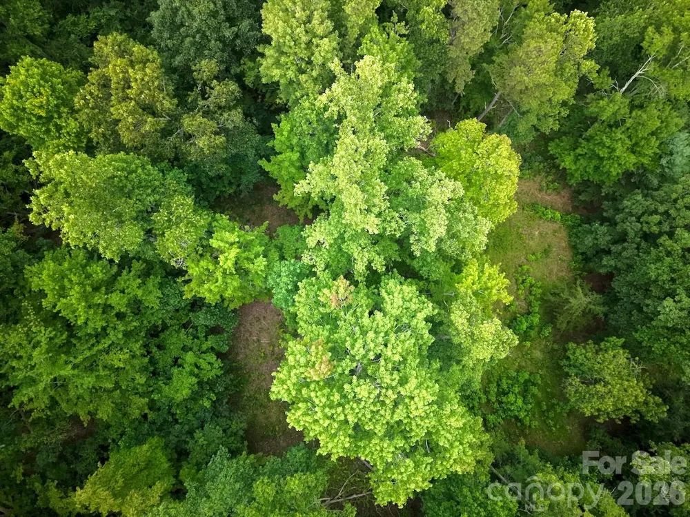 120 Ben Lippen School Road Asheville, NC 28806