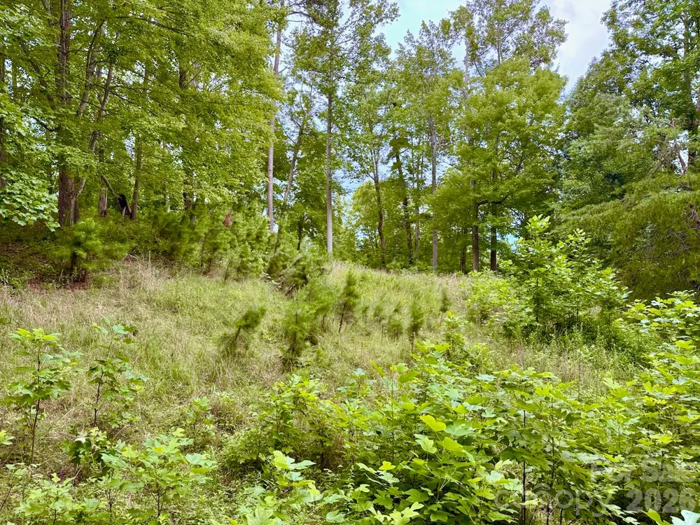 120 Ben Lippen School Road Asheville, NC 28806