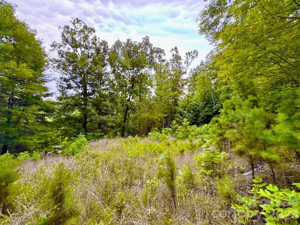 120 Ben Lippen School Road Asheville, NC 28806
