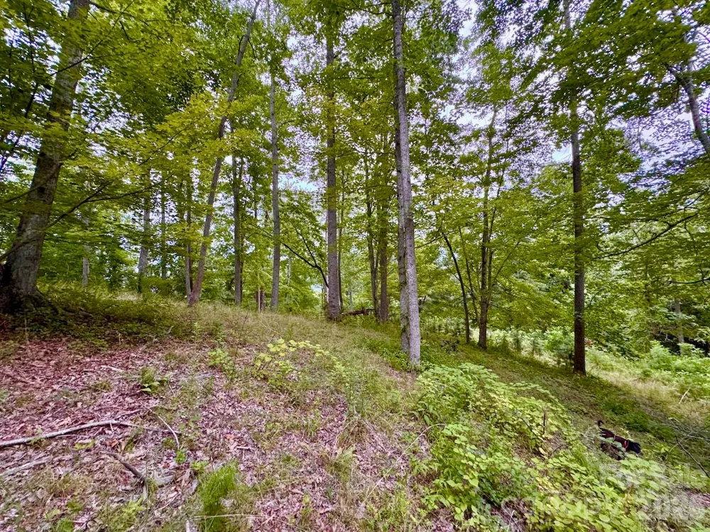 120 Ben Lippen School Road Asheville, NC 28806