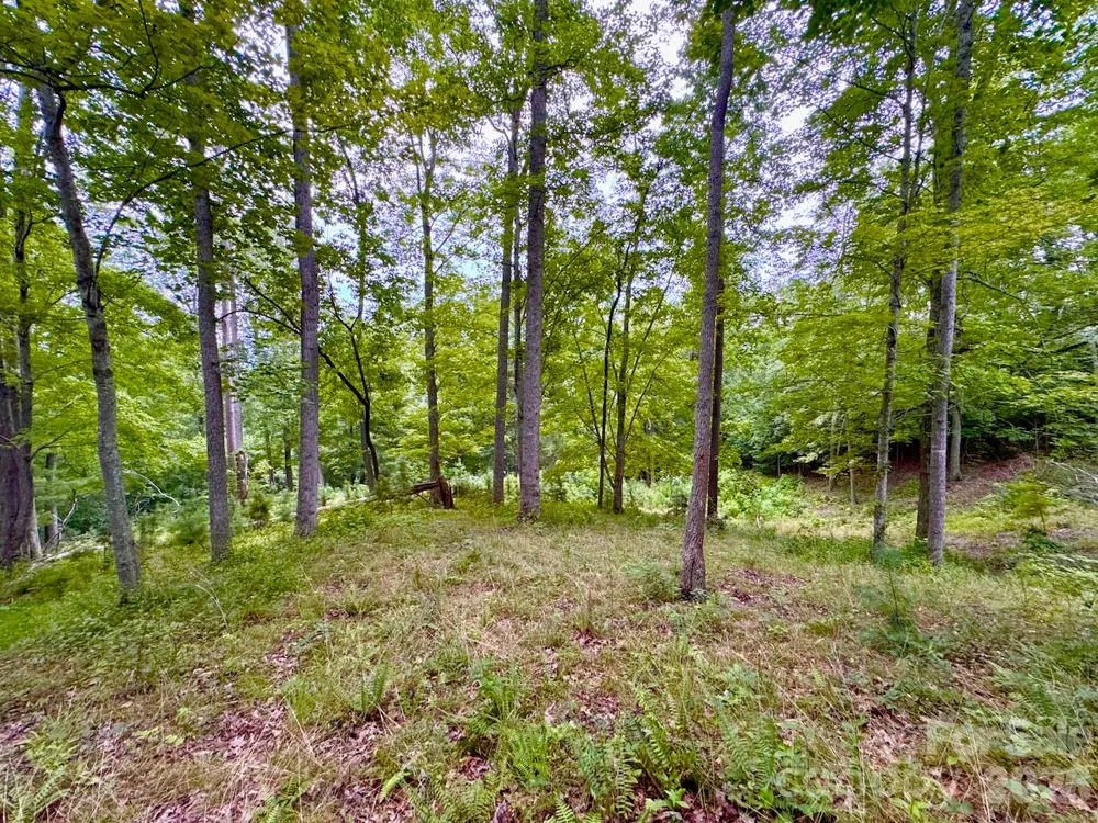 120 Ben Lippen School Road Asheville, NC 28806