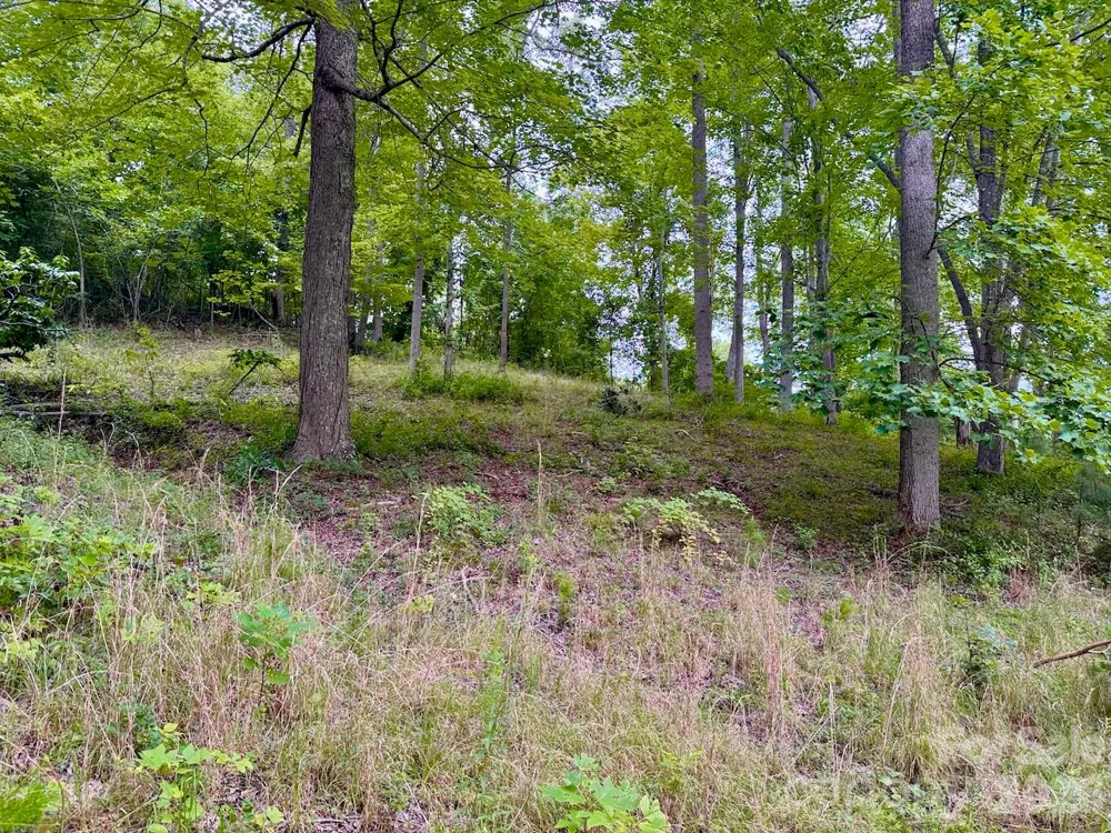 120 Ben Lippen School Road Asheville, NC 28806
