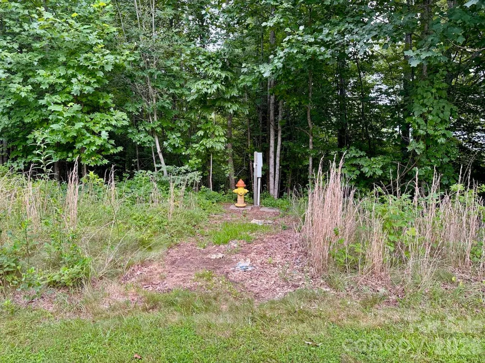 120 Ben Lippen School Road Asheville, NC 28806