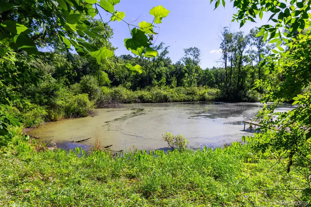 9405 SPICER ROAD Green Oak Township, MI 48116