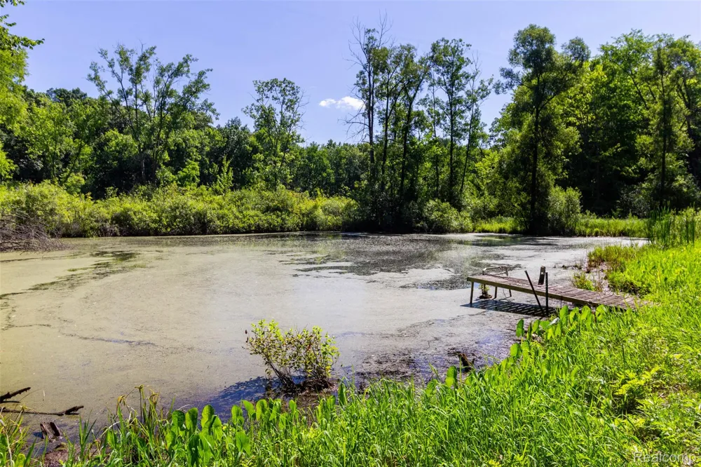 9405 SPICER ROAD Green Oak Township, MI 48116