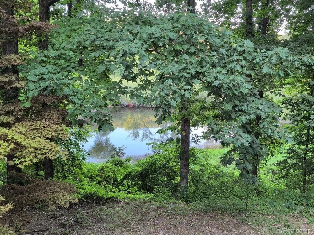 9405 SPICER ROAD Green Oak Township, MI 48116