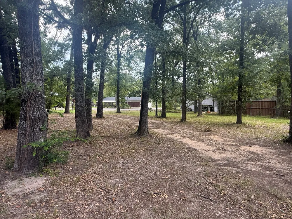 221 Northview Drive Trinidad, TX 75163