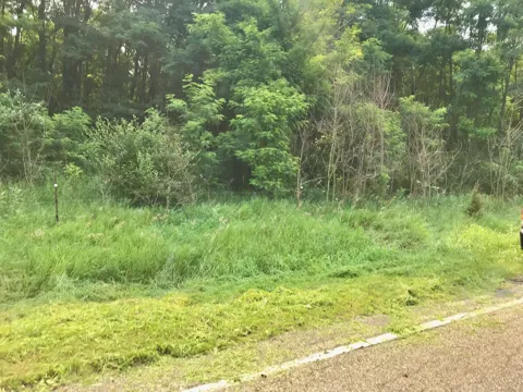 Buckhorn Road #Lot I