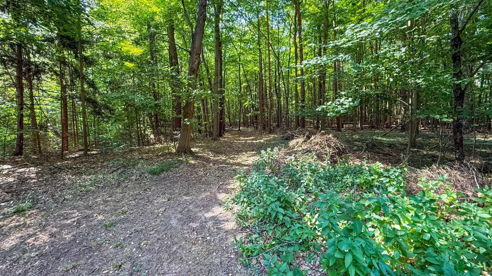 CR 388 South Haven, MI 49090