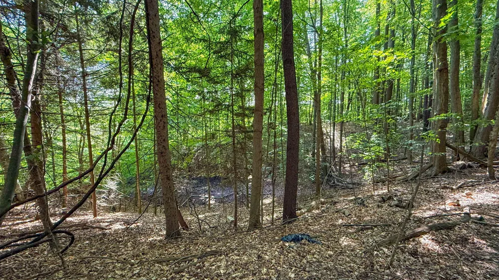 CR 388 South Haven, MI 49090