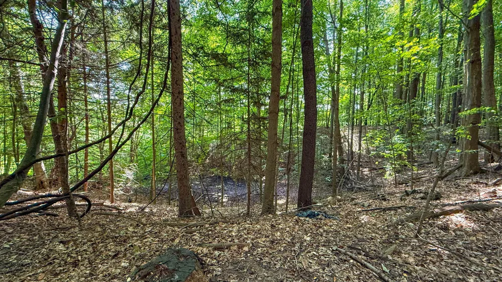 CR 388 South Haven, MI 49090