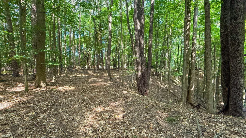 CR 388 South Haven, MI 49090