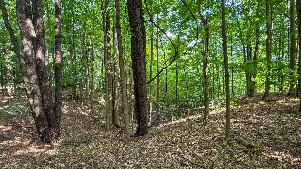 CR 388 South Haven, MI 49090