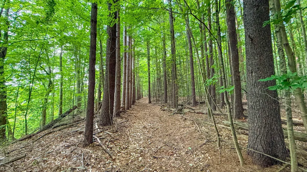 CR 388 South Haven, MI 49090