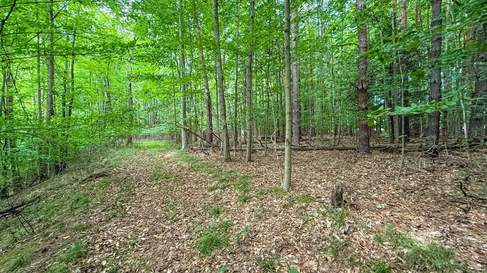 CR 388 South Haven, MI 49090