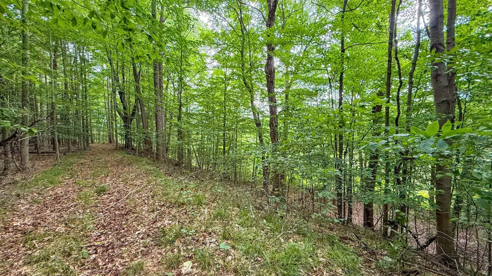 CR 388 South Haven, MI 49090