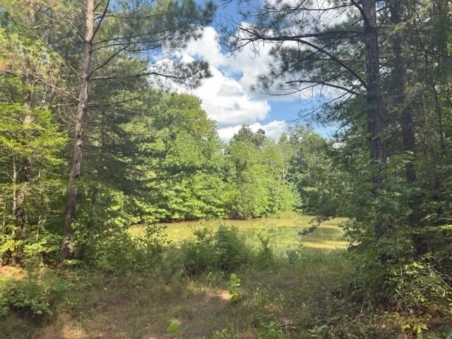 0 Puncheon Creek Lane Allred, TN 38542