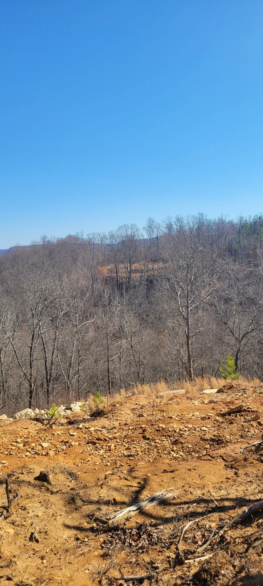 0 Puncheon Creek Lane Allred, TN 38542
