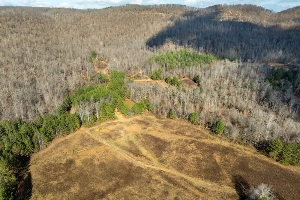 0 Puncheon Creek Lane Allred, TN 38542