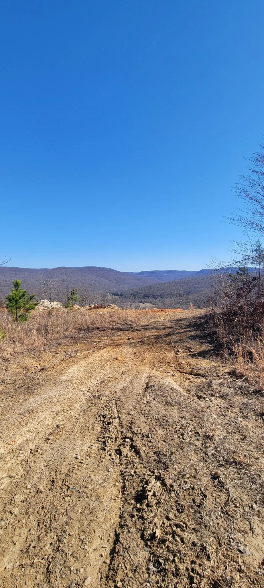 0 Puncheon Creek Lane Allred, TN 38542
