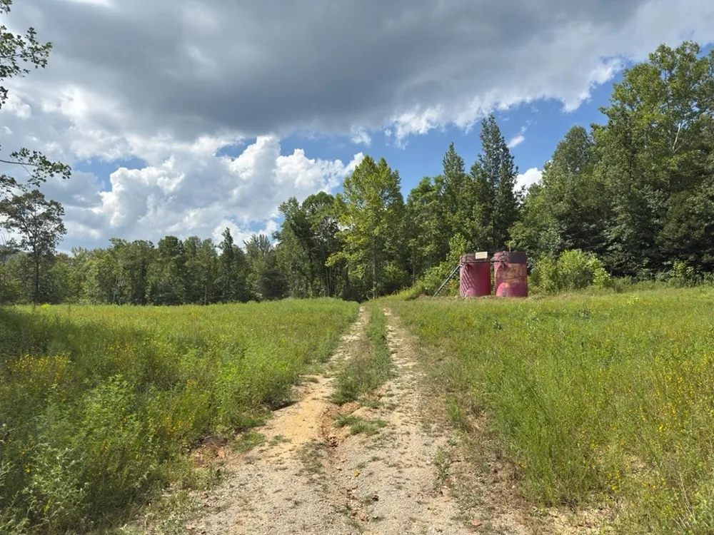 0 Puncheon Creek Lane Allred, TN 38542