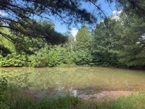 0 Puncheon Creek Lane Allred, TN 38542