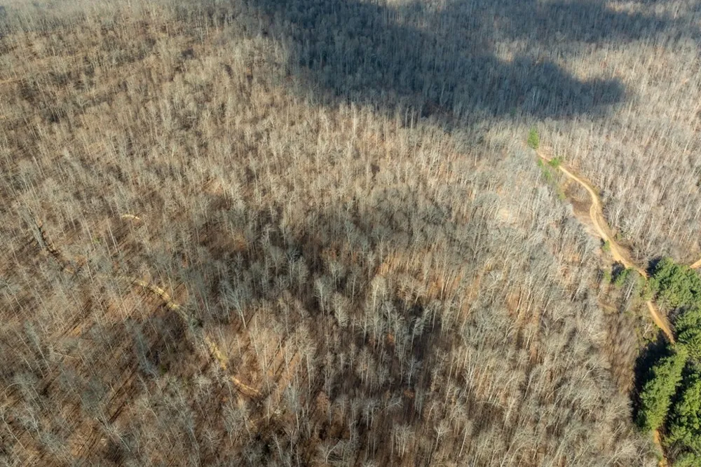 0 Puncheon Creek Lane Allred, TN 38542