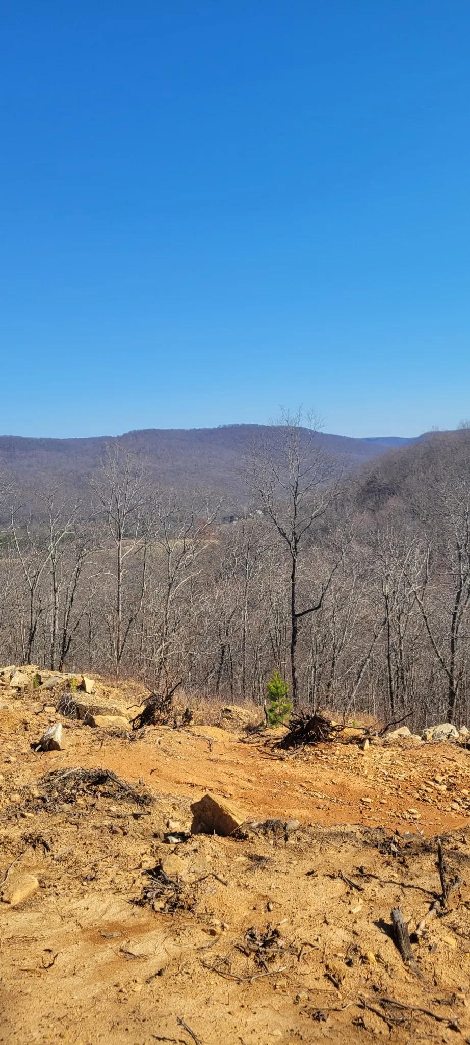 0 Puncheon Creek Lane Allred, TN 38542