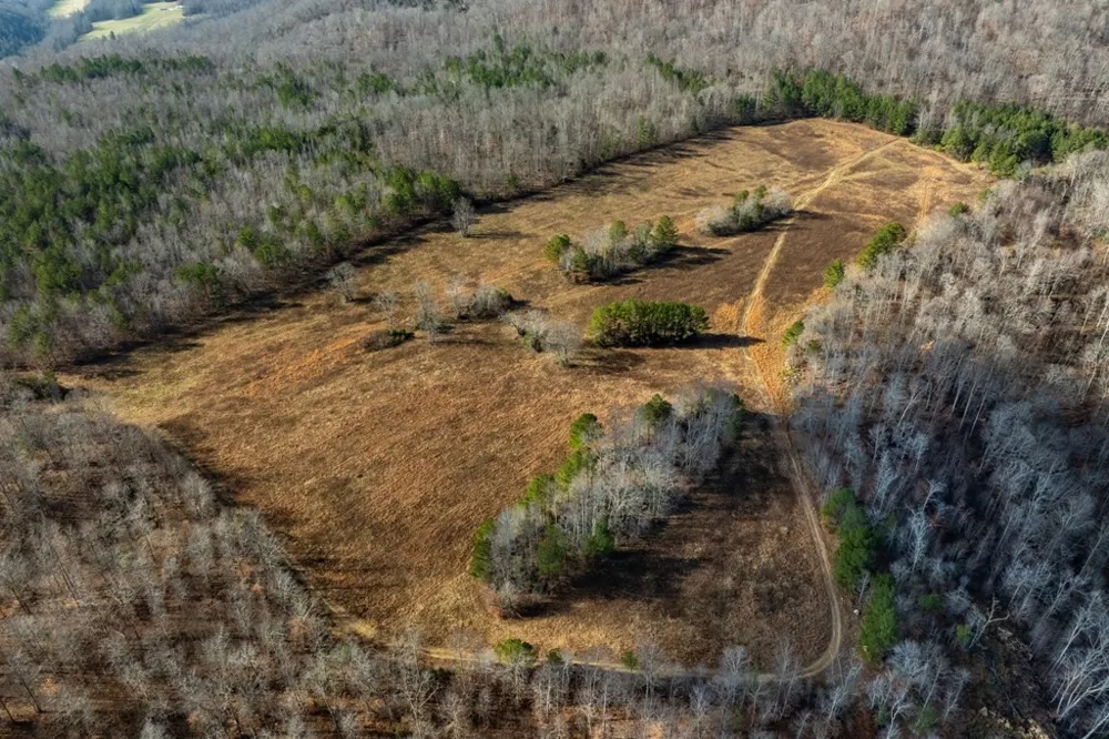 0 Puncheon Creek Lane Allred, TN 38542