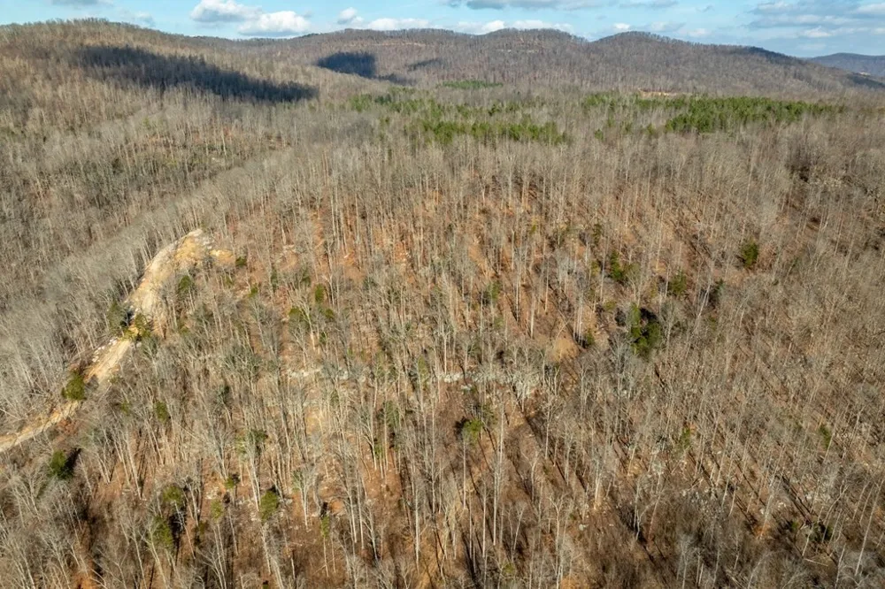 0 Puncheon Creek Lane Allred, TN 38542