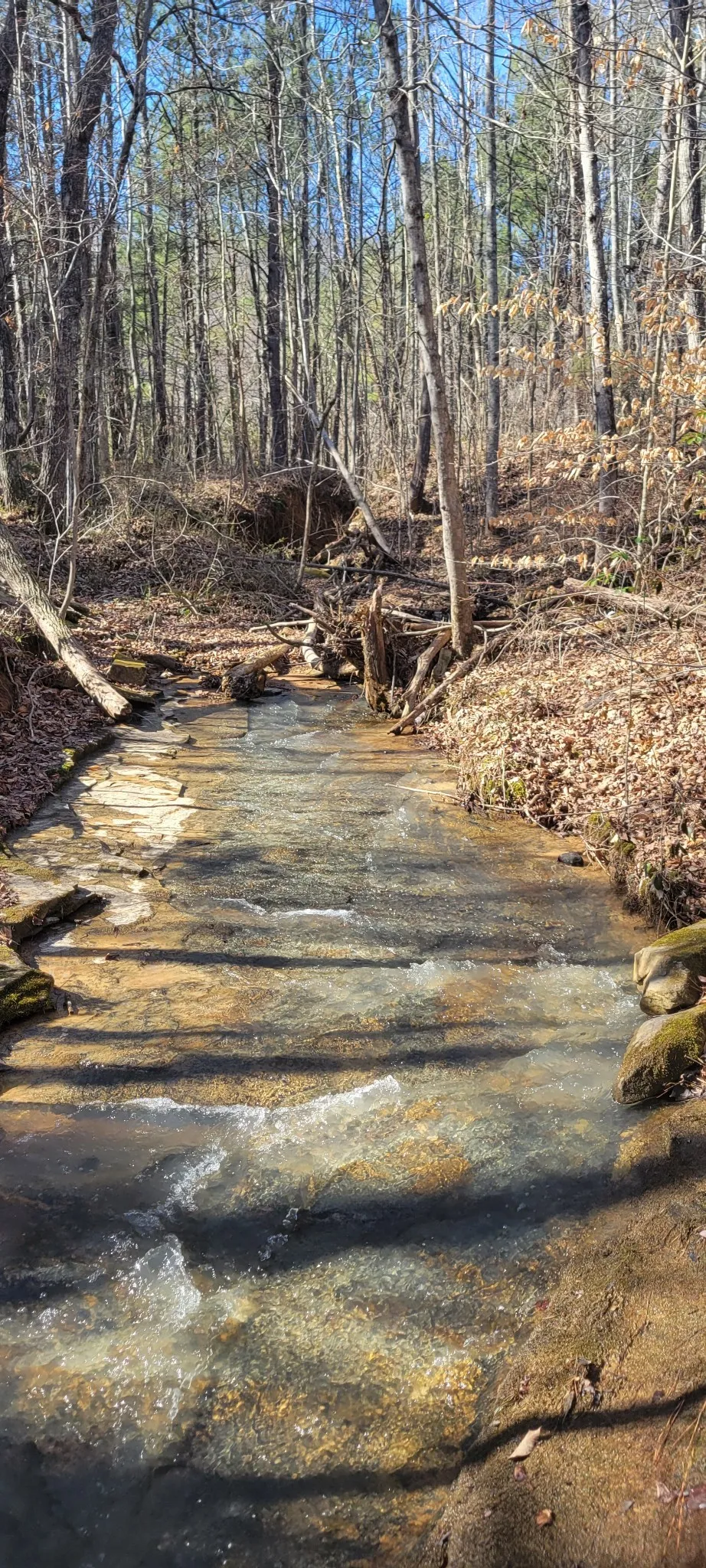 0 Puncheon Creek Lane Allred, TN 38542