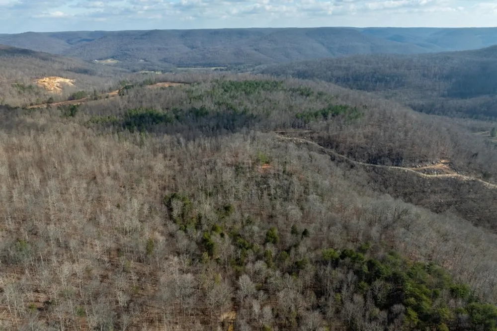 0 Puncheon Creek Lane Allred, TN 38542