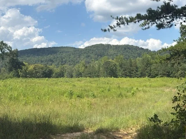 0 Puncheon Creek Lane Allred, TN 38542