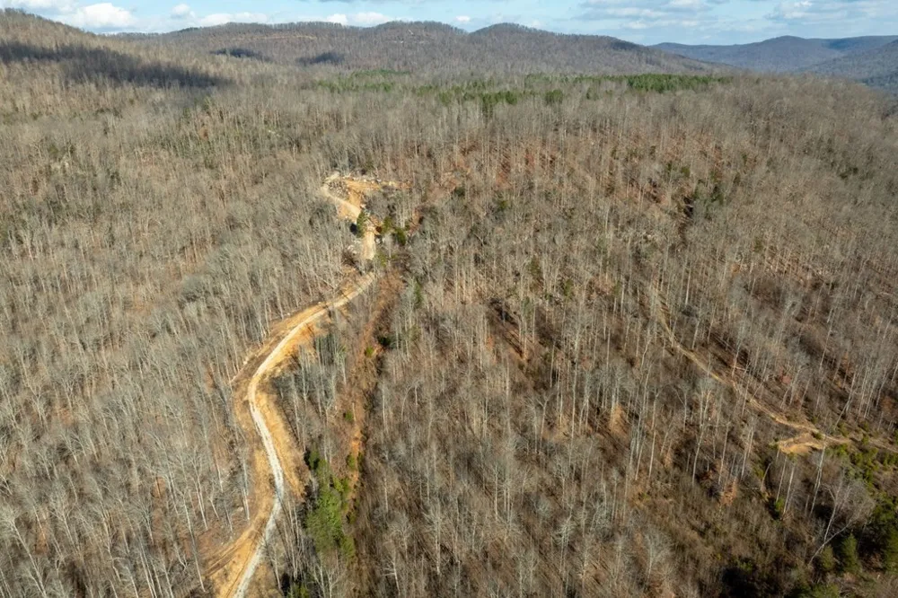 0 Puncheon Creek Lane Allred, TN 38542