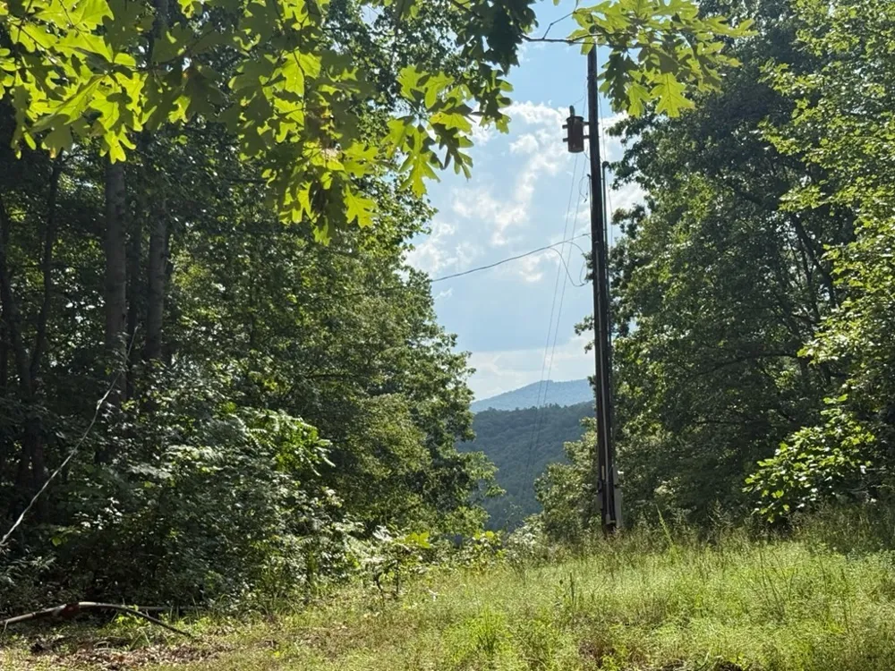 0 Puncheon Creek Lane Allred, TN 38542
