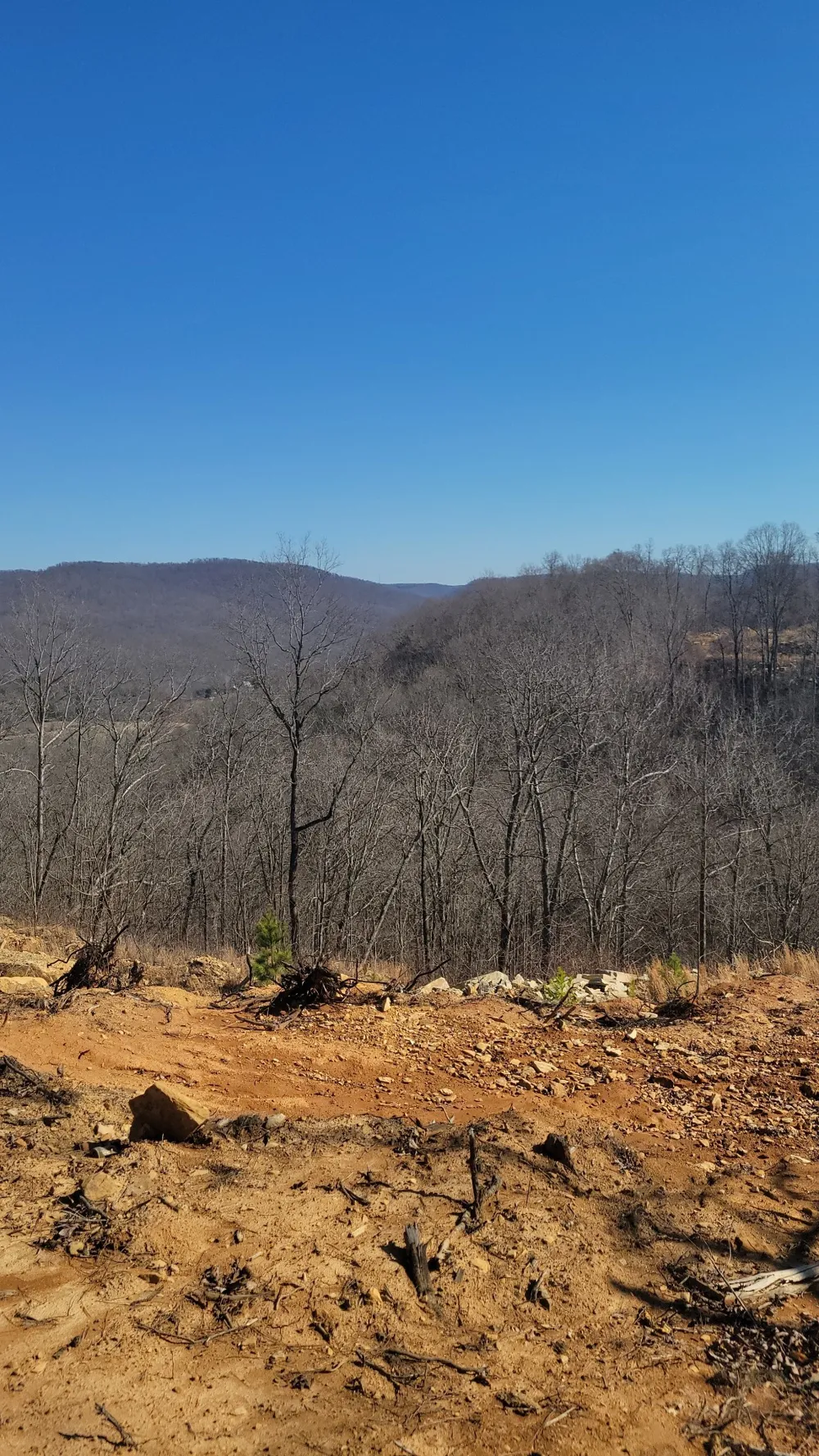 0 Puncheon Creek Lane Allred, TN 38542