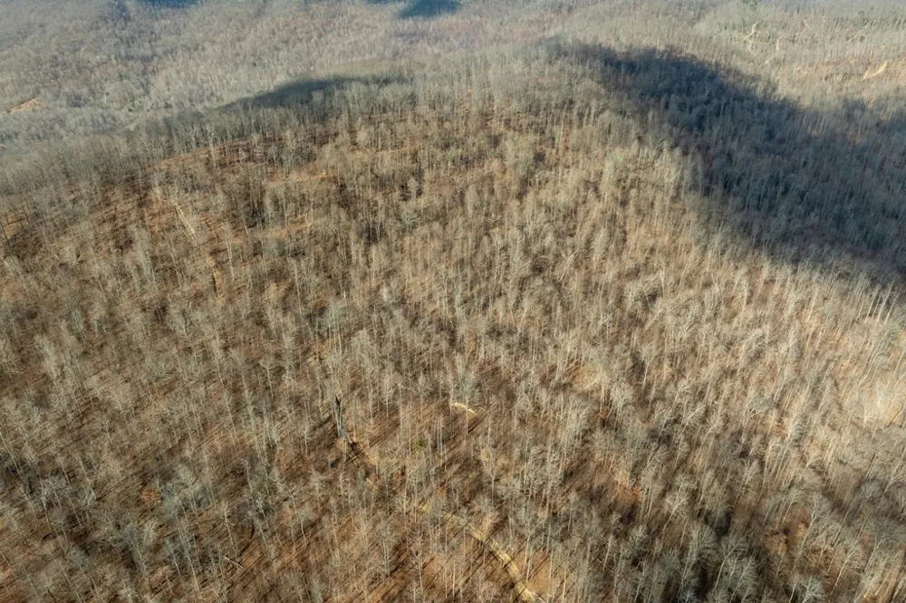 0 Puncheon Creek Lane Allred, TN 38542