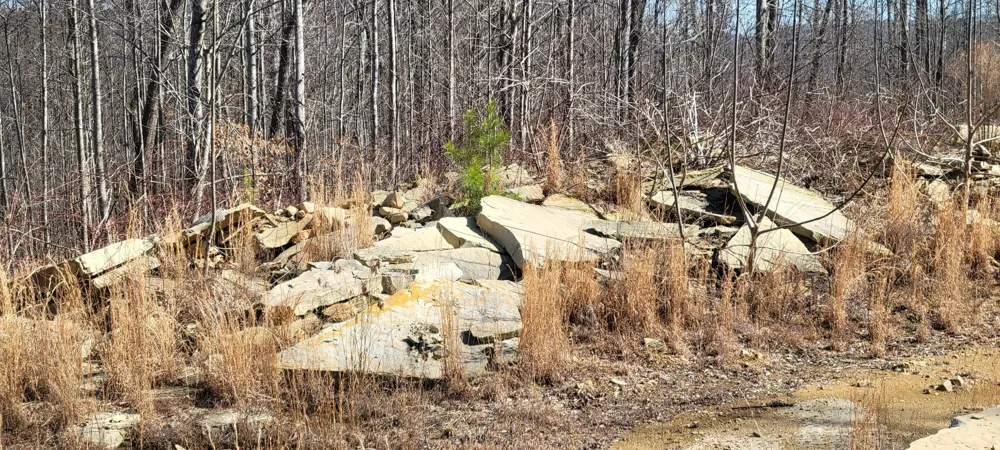 0 Puncheon Creek Lane Allred, TN 38542