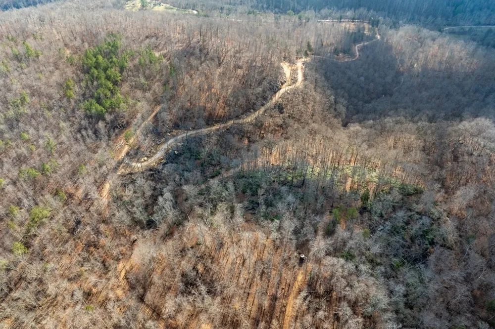 0 Puncheon Creek Lane Allred, TN 38542